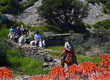 Spain-Catalonia-Coastal Gourmet Passion Ride